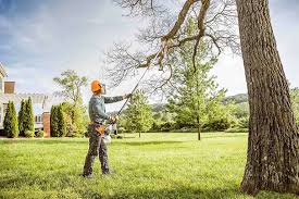 Best Lawn Mowing  in Kentfield, CA